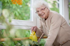 Blumen wieder selbst gießen